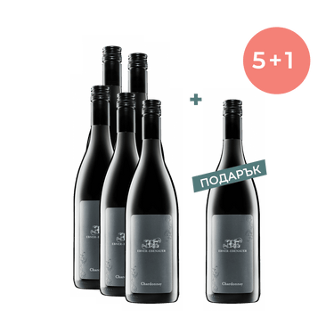 Chardonnay Alte Gerlongen Bio 2019, Ebner-Ebenauer 0.75 5+1 Подарък